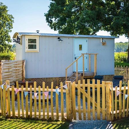 The Hideaway Hut - 1 Bed Shepherds Hut - Hereford Leilighet Eksteriør bilde