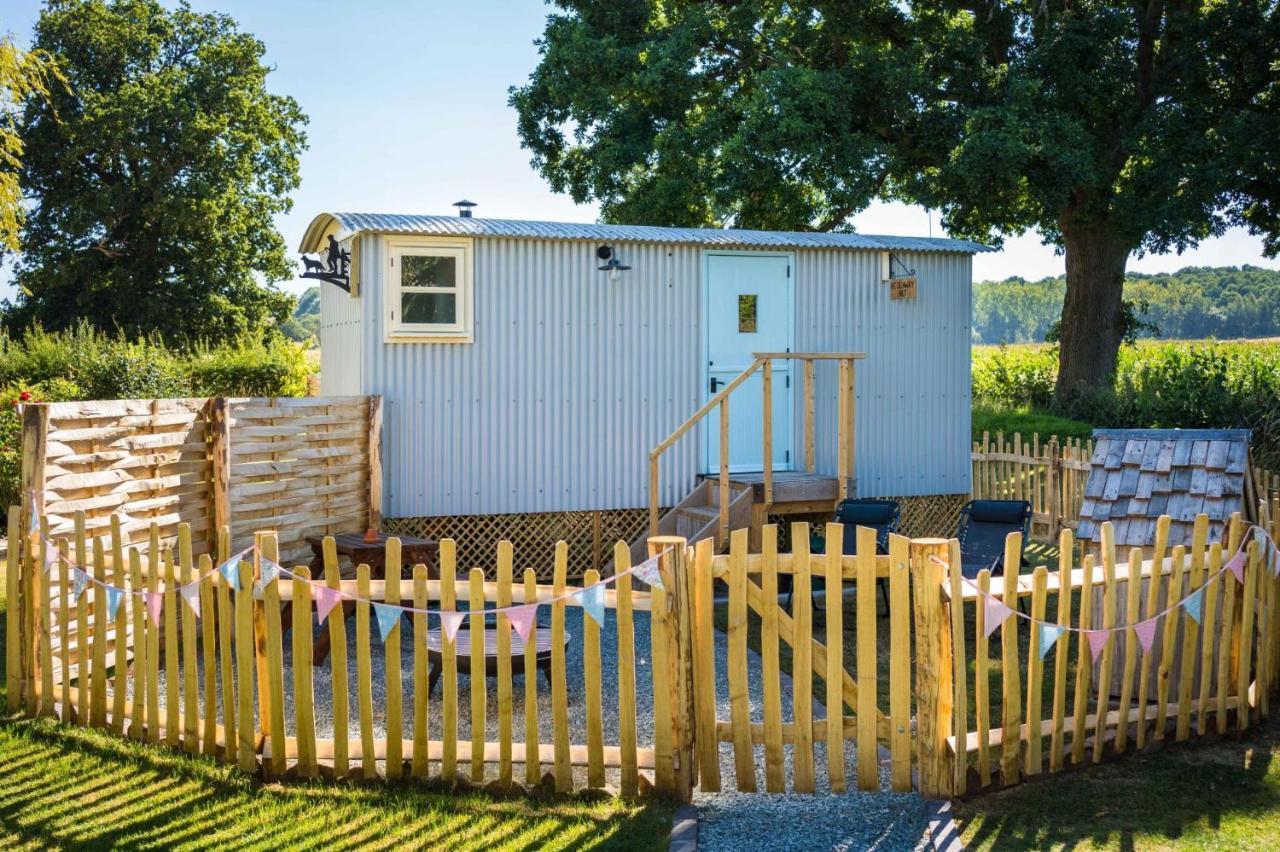 The Hideaway Hut - 1 Bed Shepherds Hut - Hereford Leilighet Eksteriør bilde